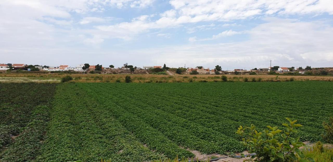 فيلا Comporta House المظهر الخارجي الصورة