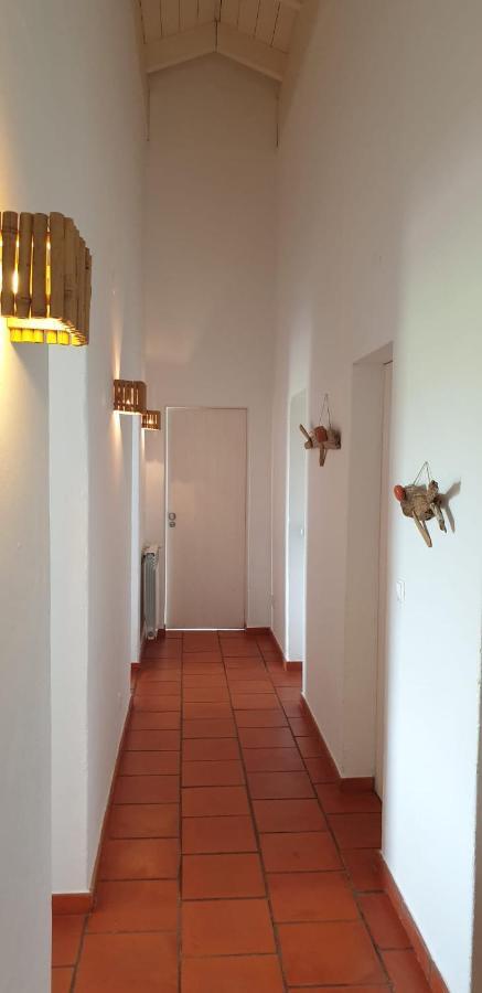 فيلا Comporta House المظهر الخارجي الصورة